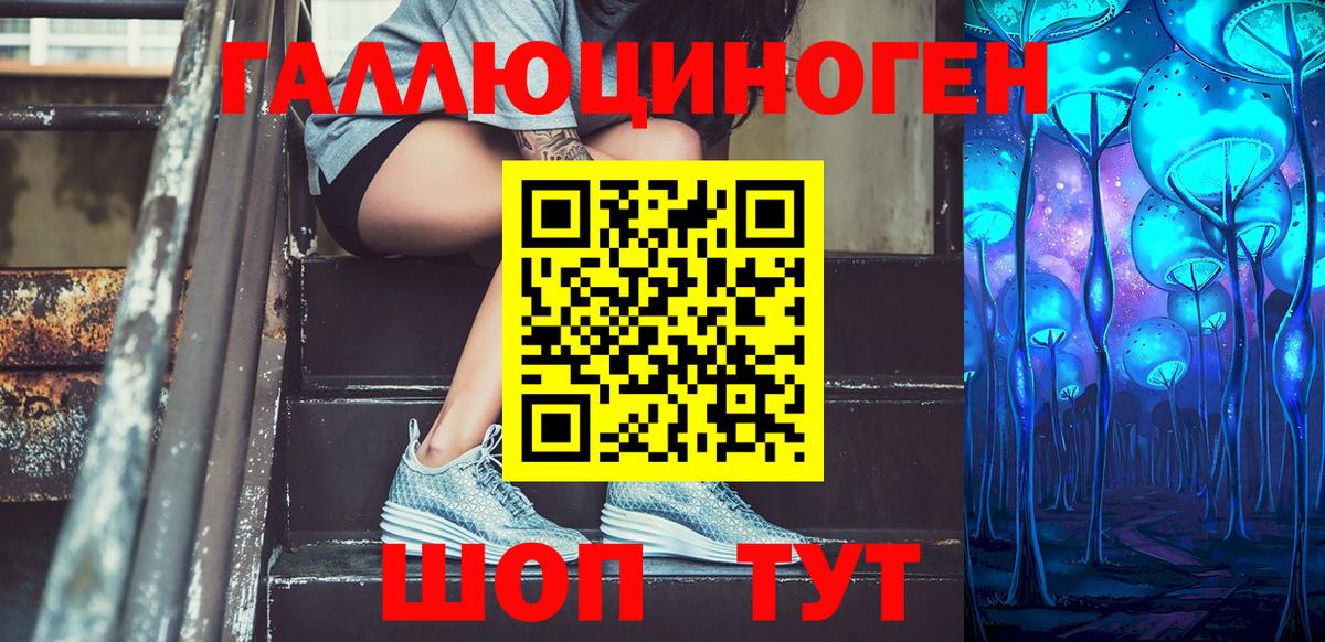купить наркотики сайты  Вход с VPN  Тимашёвск  Псилоцибиновые грибы Cubensis 